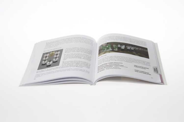 Kompendium Ceremoniarza - środek