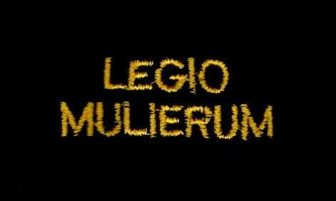 Koszulka T-shirt damska krótki rękaw dekolt w serek - napis na rękawie